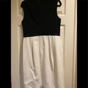 Jason Wu Black/Creme Dress with Leather Neckline